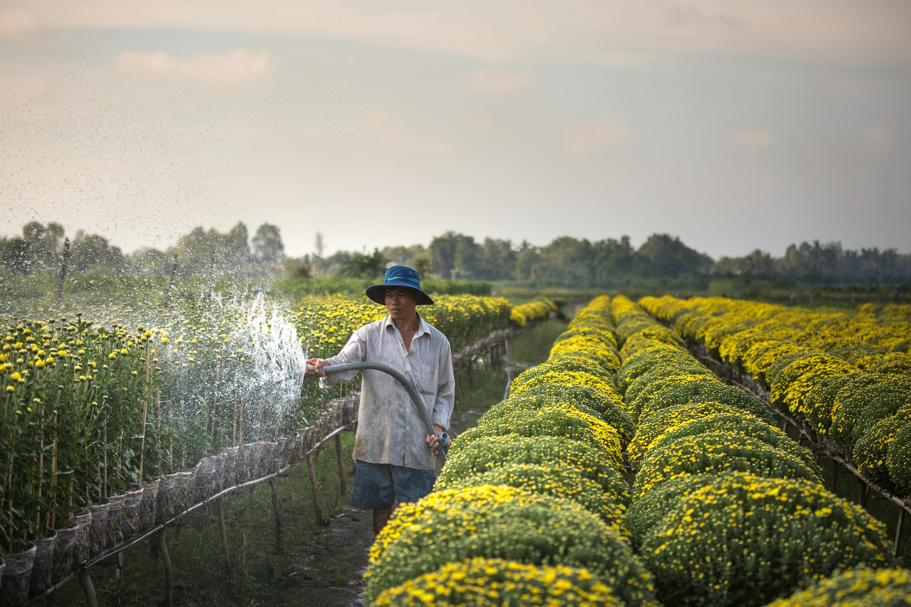 Farmer Advisory Program
